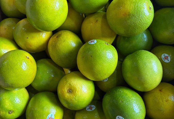 WhatsApp Image 2026-03-27 at 10.12.06