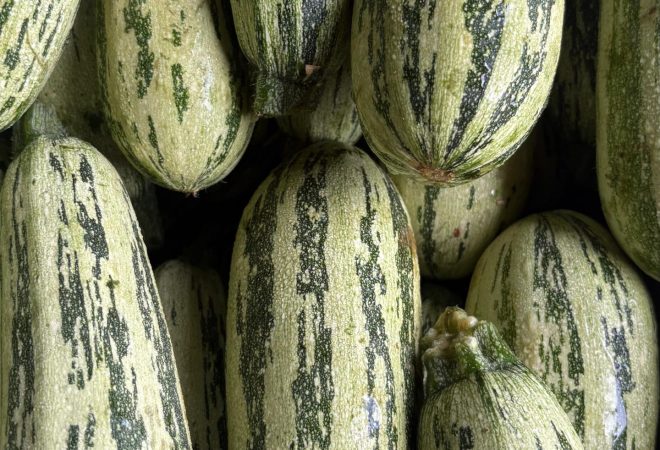 WhatsApp Image 2026-03-27 at 10.14.16